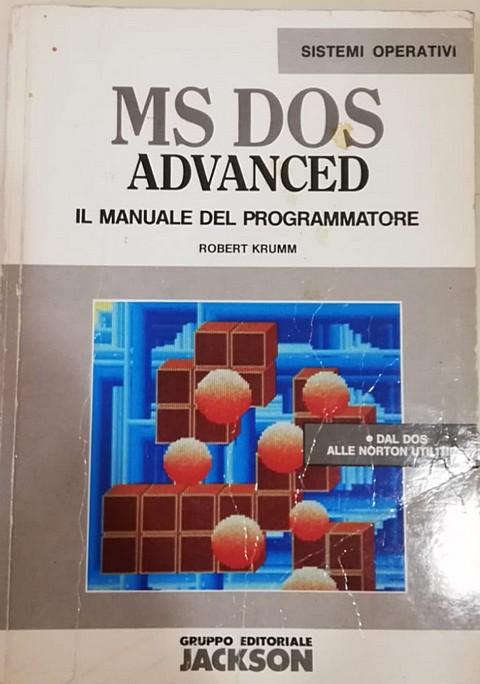 Libro di 339 pagine ms-dos Advanced