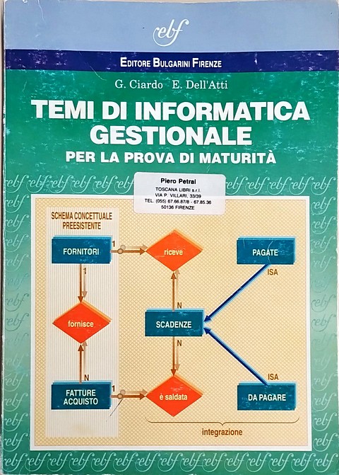 Libro di 303 pagine Temi di informatica gestionale